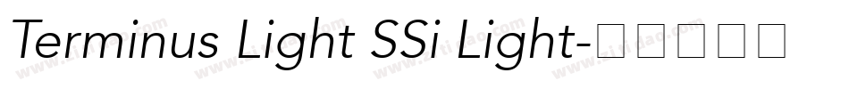 Terminus Light SSi Light字体转换
